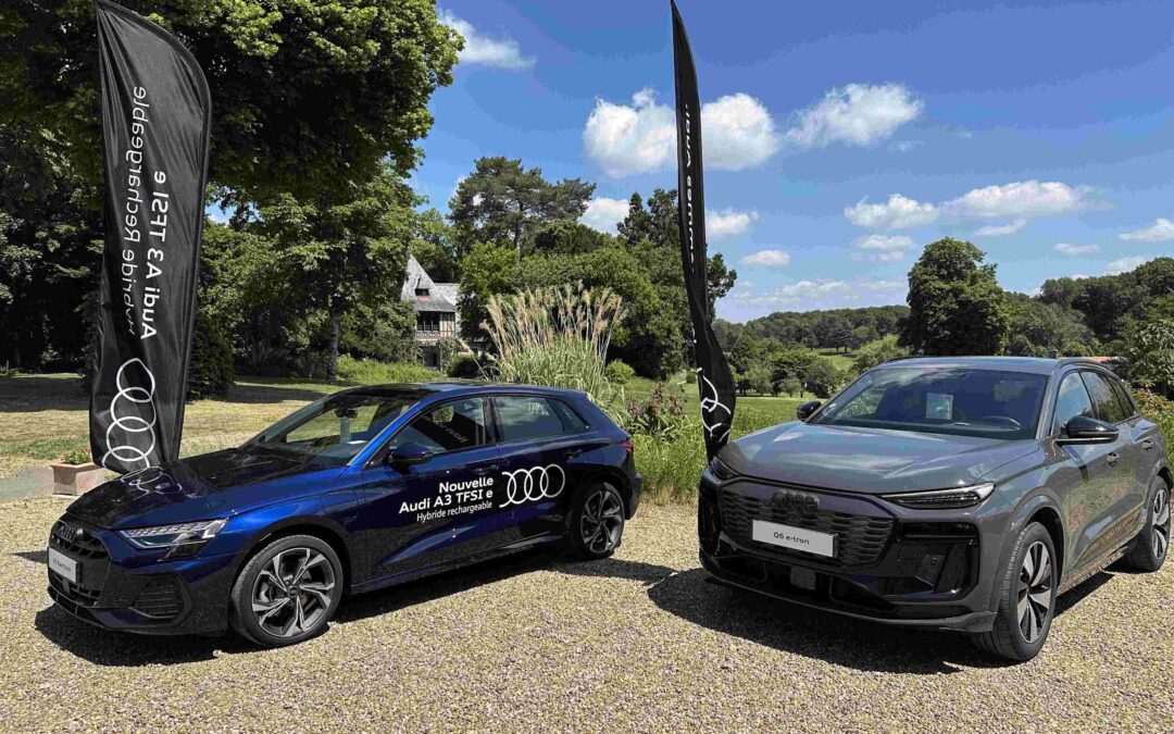 AUDI Golf Cup